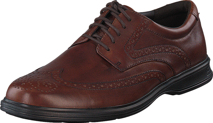 Rockport - Dressports 2 Plus Wingtip New Brown