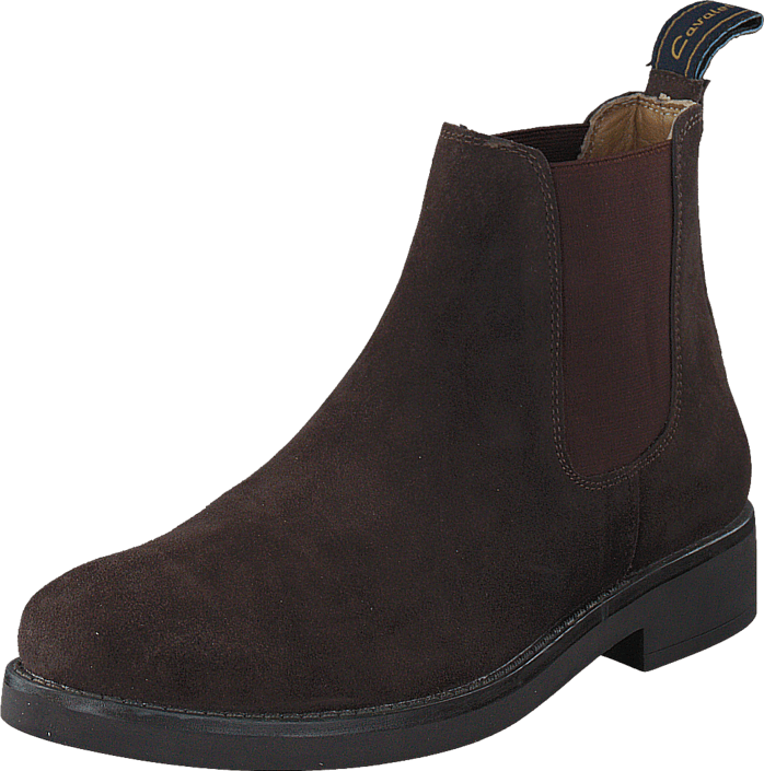 Cavalet - Braxton Suede Brown