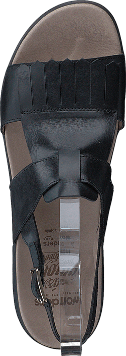 Wonders - C-4401 Pergamena Negro