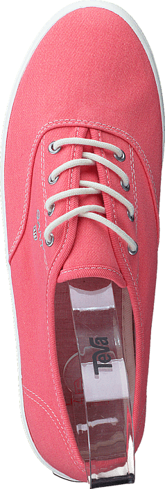 Gant - 14538591 New Haven G570 Shell Pink