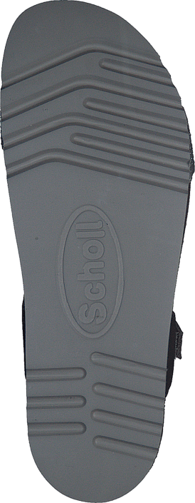 Scholl - Astrelle Grey