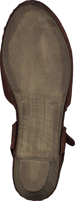 Ten Points - Atena 743001 Brown