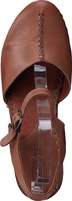 Ten Points - Atena 743001 Brown