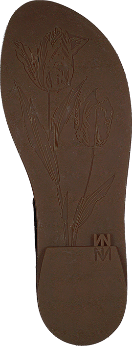 El Naturalista - Tulip Ibón NF36 Black