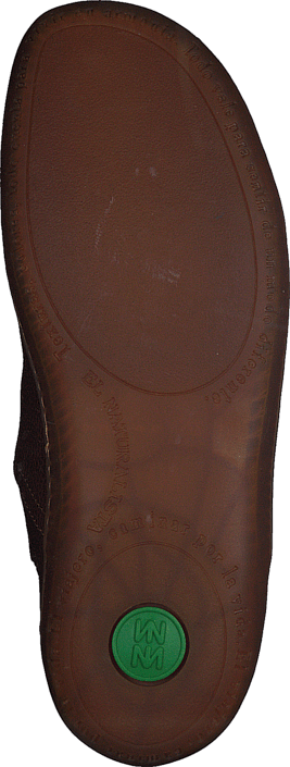 El Naturalista - El Viajero Wood Brown