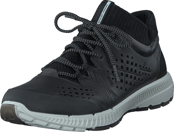ecco intrinsic tr pl ecco intrinsic tr pl