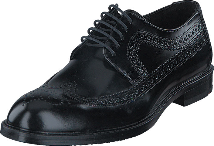 Lloyd - Larson Black
