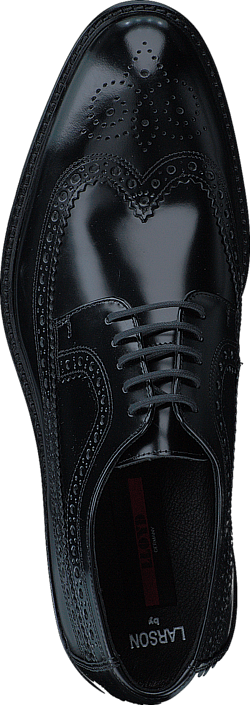 Lloyd - Larson Black