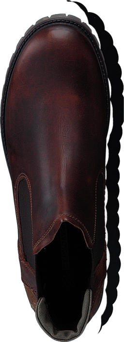 U.S. Polo Assn - Solange Brown Leather