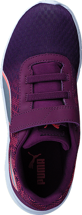 Puma - Comet PS Nrgy Peach-dark Purple