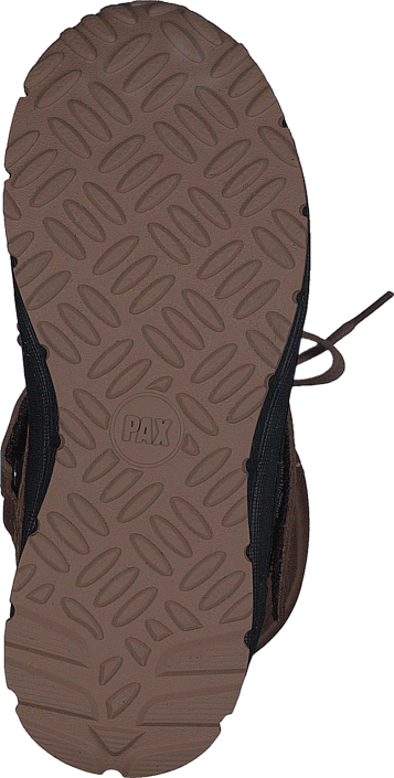 Pax - Dingo Brown