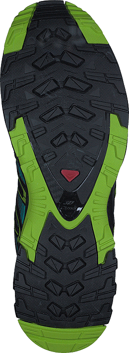 Salomon - XA Pro 3D GTX® W Deep Lake/Black/Lime Green