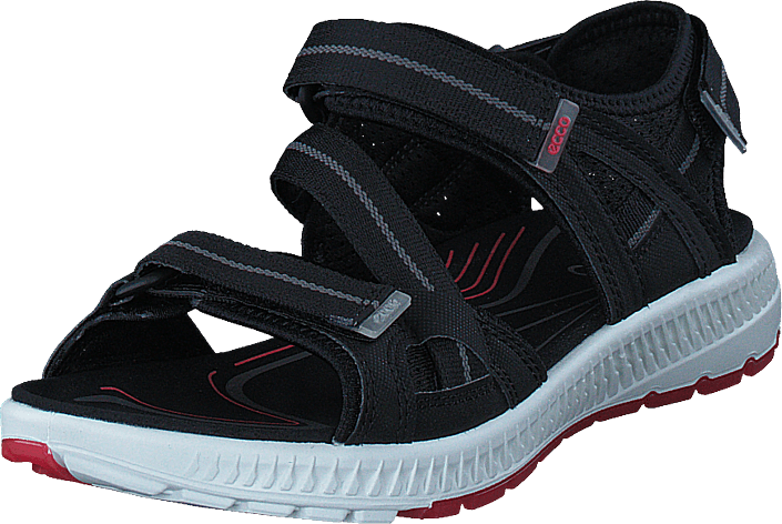 Ecco - Terra Sandal Black
