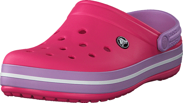 Crocs - Crocband Paradise Pink/iris
