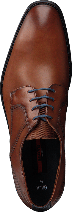 Lloyd - Gala Cognac