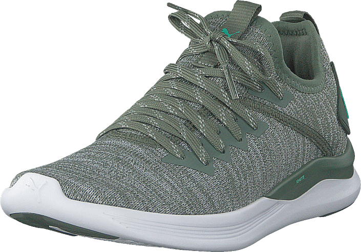 Puma - Ignite Flash Evoknit Wns Wreath-quarry-biscay Green