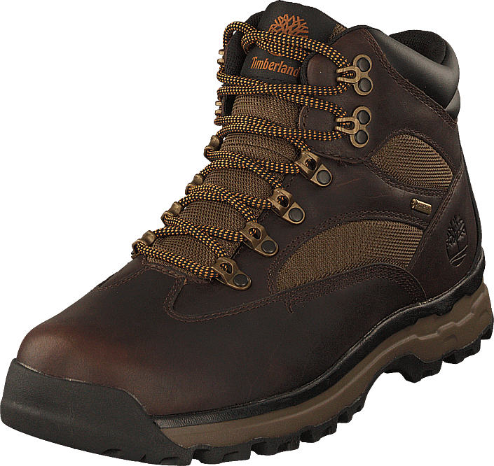 Timberland - Choccorua Trail Gore-tex Dark Brown