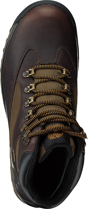 Timberland - Choccorua Trail Gore-tex Dark Brown